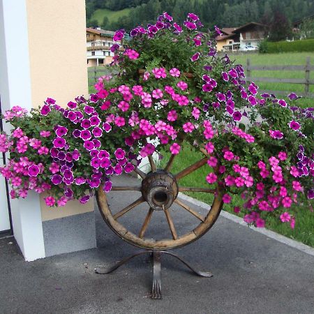 Apartamento Haus Schnepfleitner Dorfgastein Exterior foto