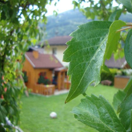 Apartamento Haus Schnepfleitner Dorfgastein Exterior foto