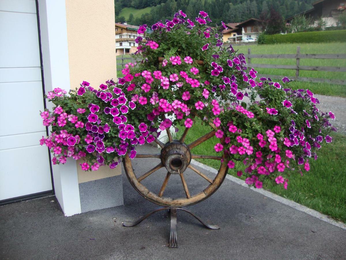 Apartamento Haus Schnepfleitner Dorfgastein Exterior foto